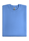 Carolina Blue
